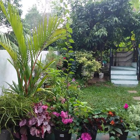 Jungle View One Bedroom Private Apartment Unawatuna Bagian luar foto