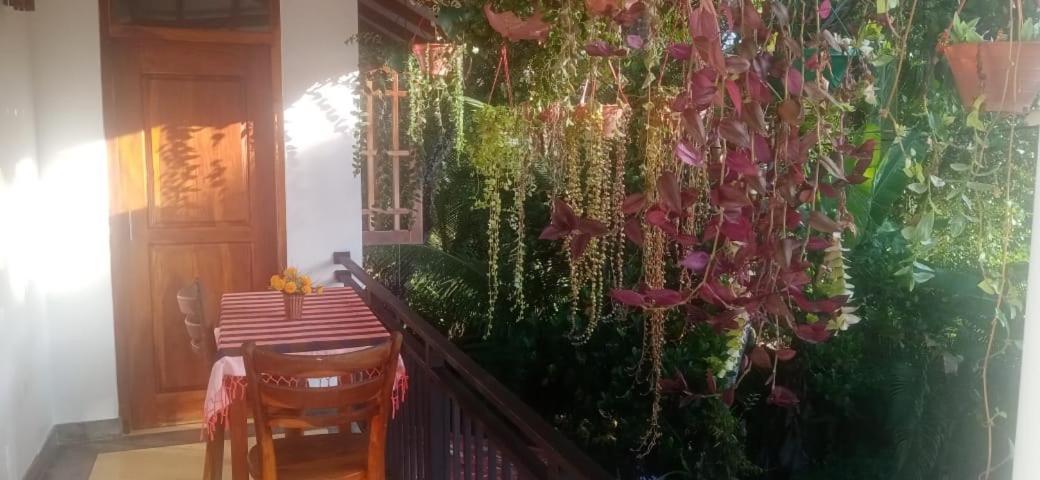 Jungle View One Bedroom Private Apartment Unawatuna Bagian luar foto