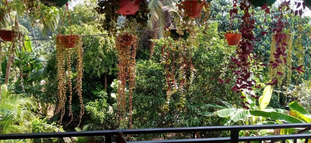 Jungle View One Bedroom Private Apartment Unawatuna Bagian luar foto