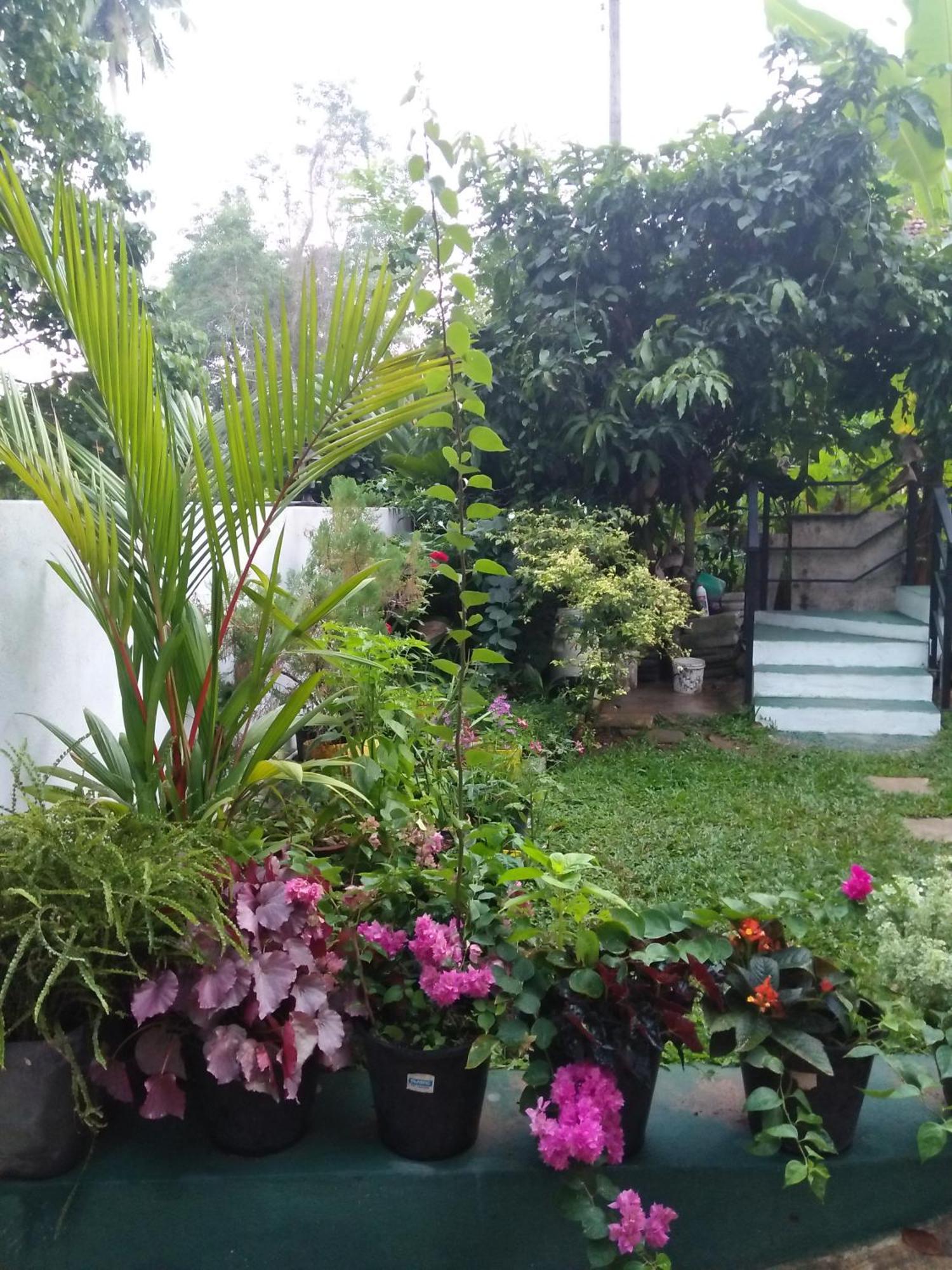 Jungle View One Bedroom Private Apartment Unawatuna Bagian luar foto