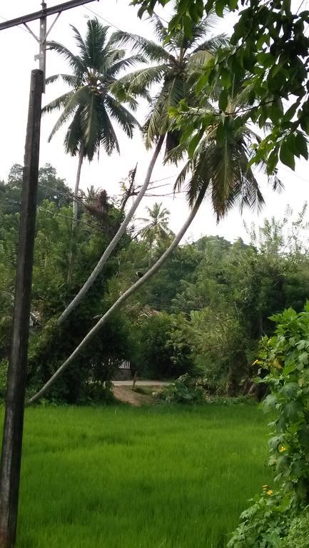 Jungle View One Bedroom Private Apartment Unawatuna Bagian luar foto